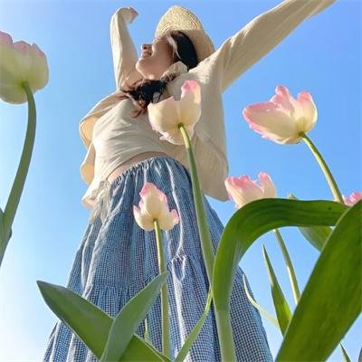 蒂莫西的奇异生活